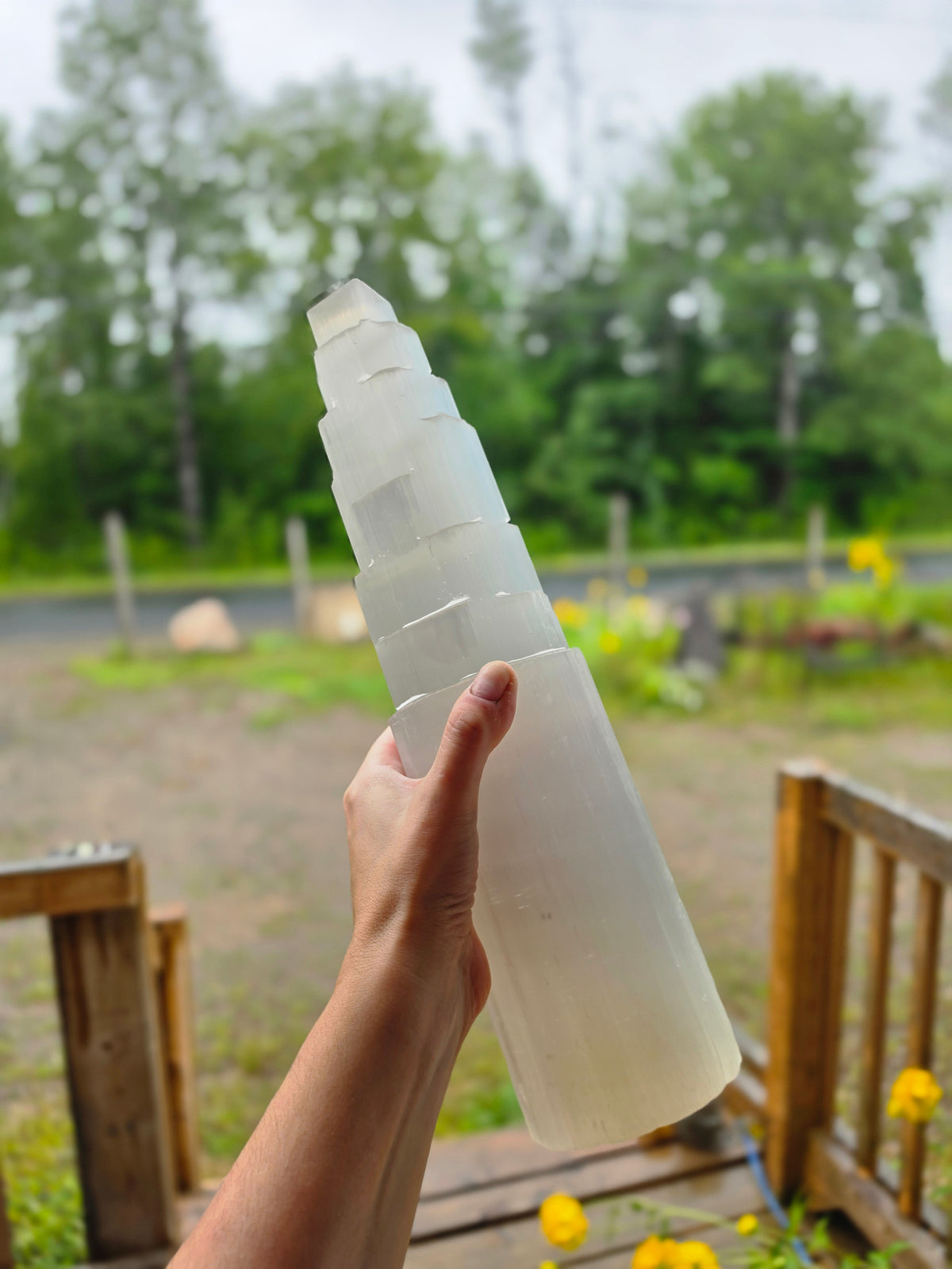 3.5kg Selenite Tower 14" Wood Lamp included Natural Mineral Statement Piece