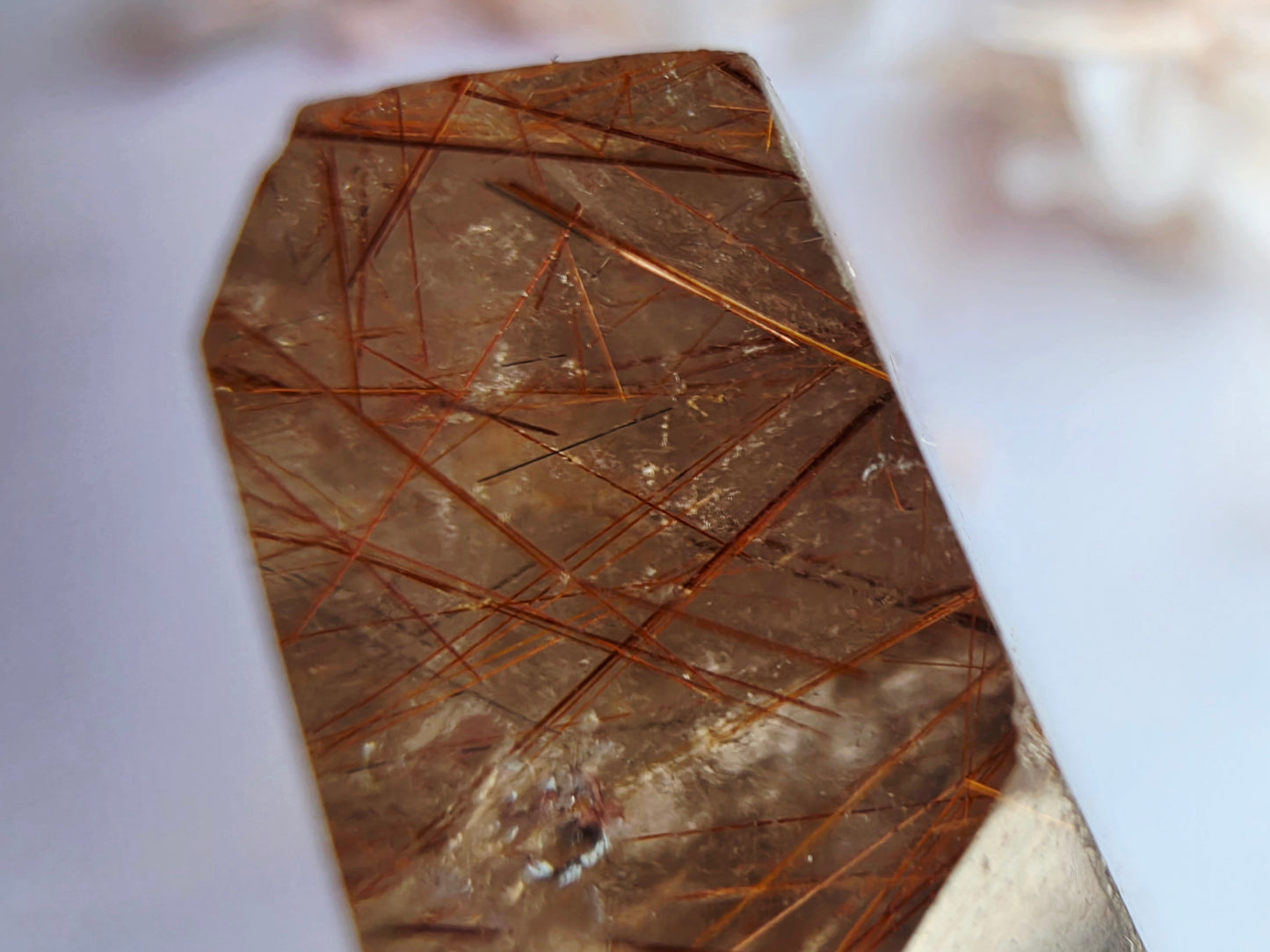 Copper Rutile Free-Form Quartz Palm Size