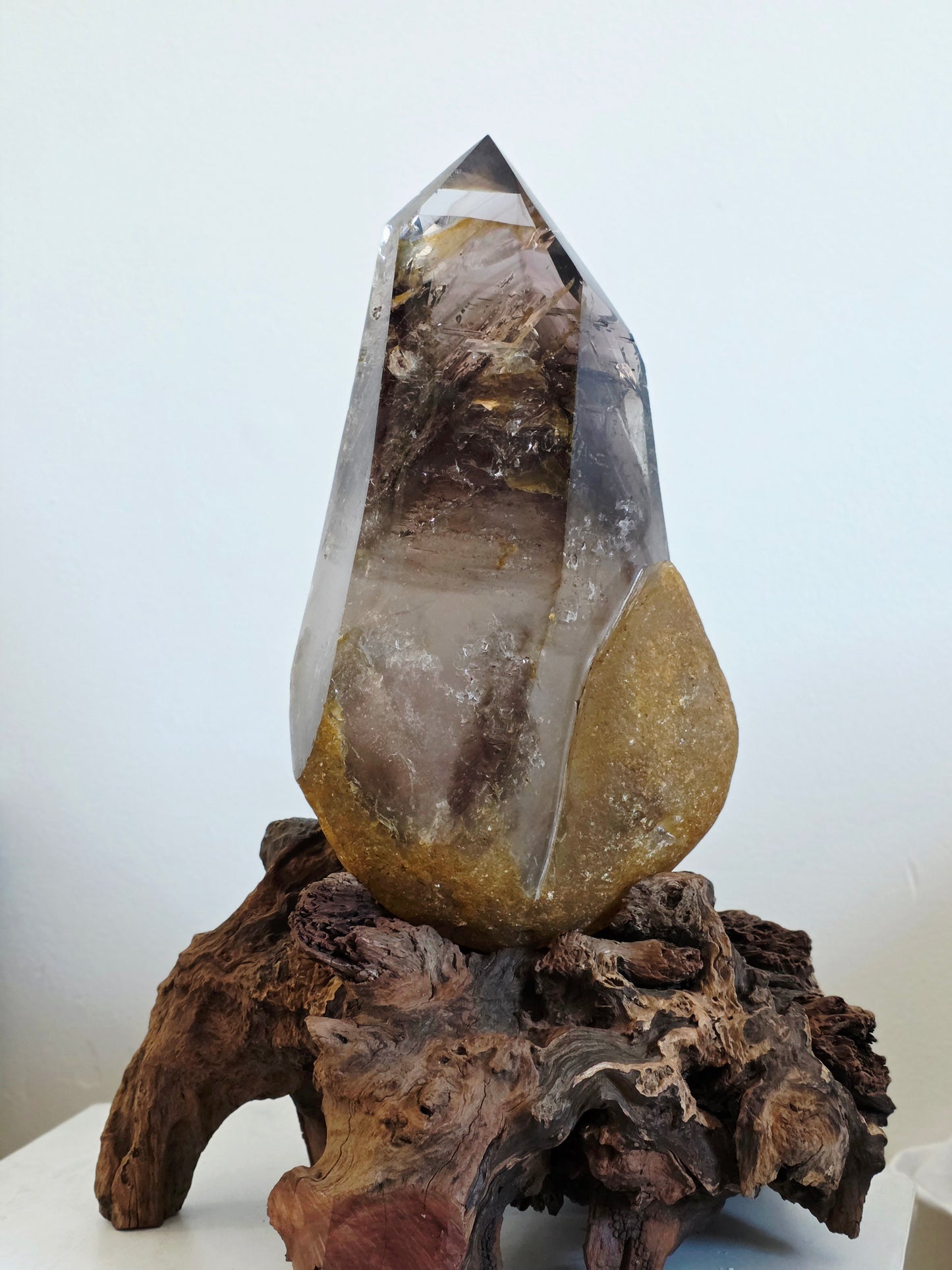 Enhydro Smokey Quartz 22lbs - Moving Bubbles - Rambo Flash on Wood Stand - Rare Collectable  Crystal