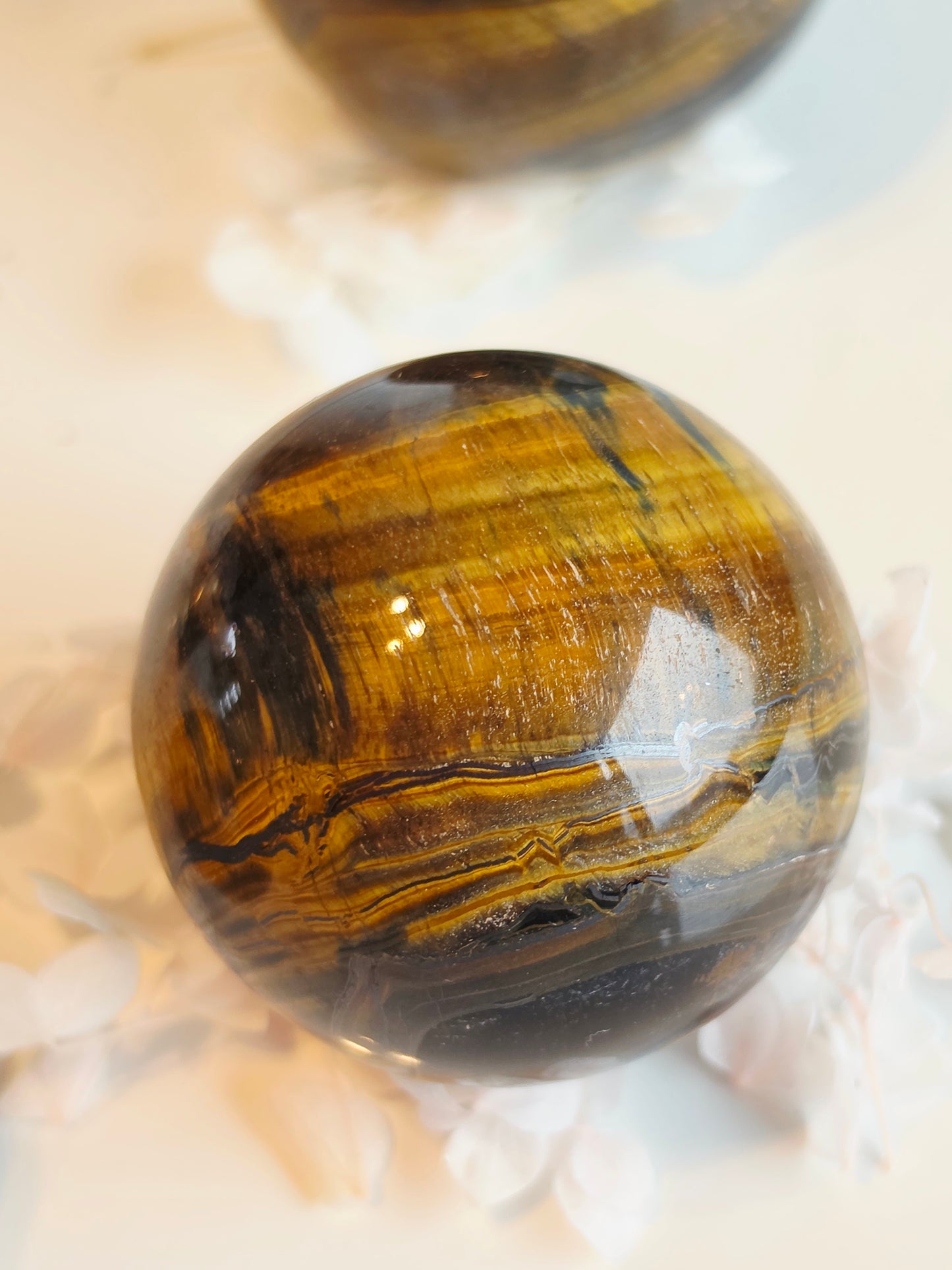 Set of 3 Tiger eyes Sphere Wholesale Medium Size