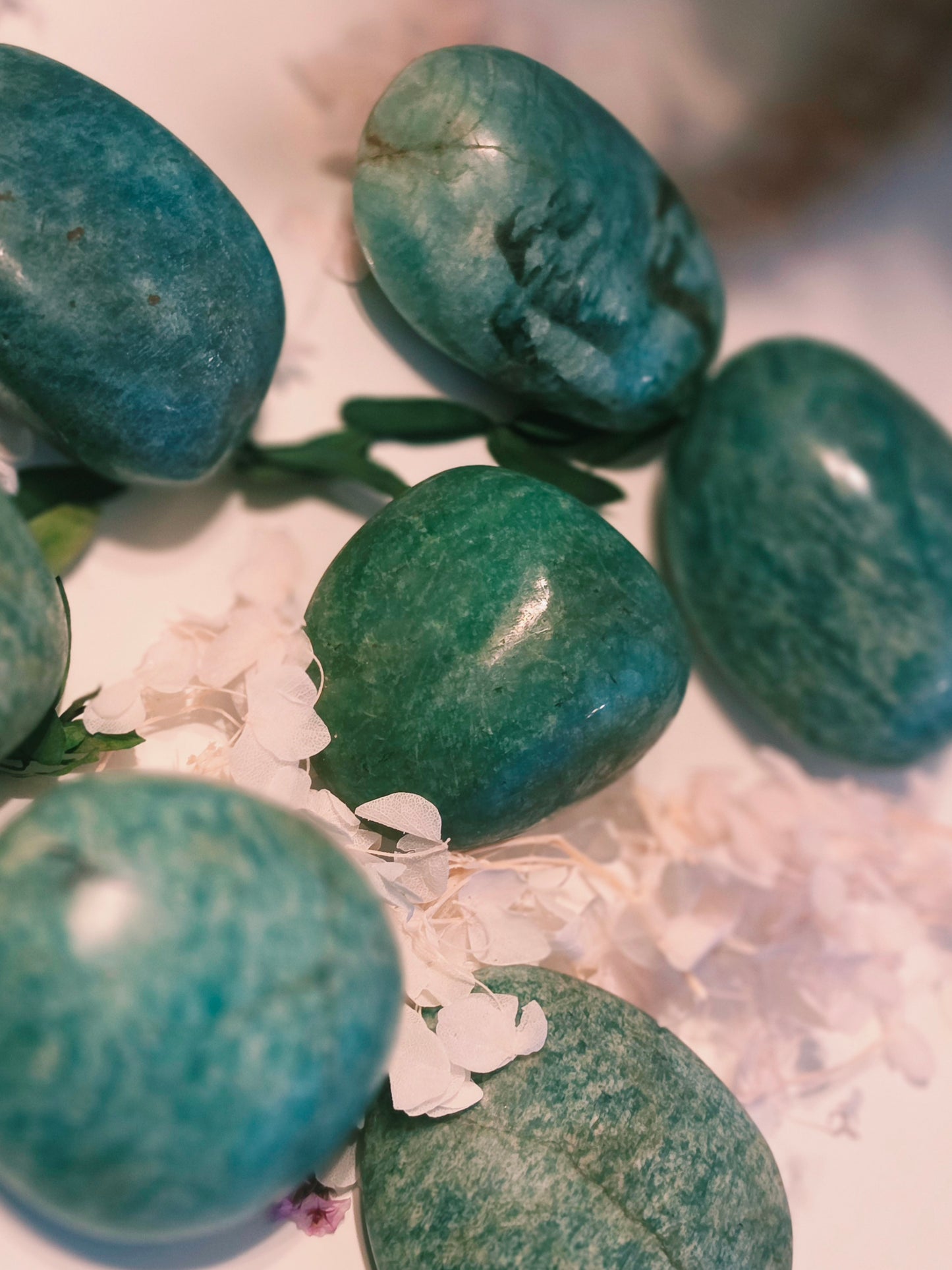 Amazonite Palmstone Lot of 7 Wholesale