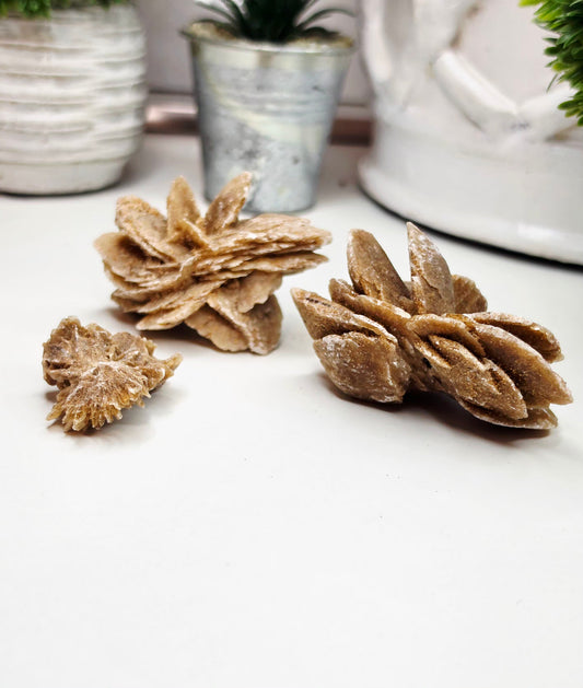 Raw Moroccan Desert Rose Crystal Cluster –  3 Naturals Gypsum Sand Rose Specimens