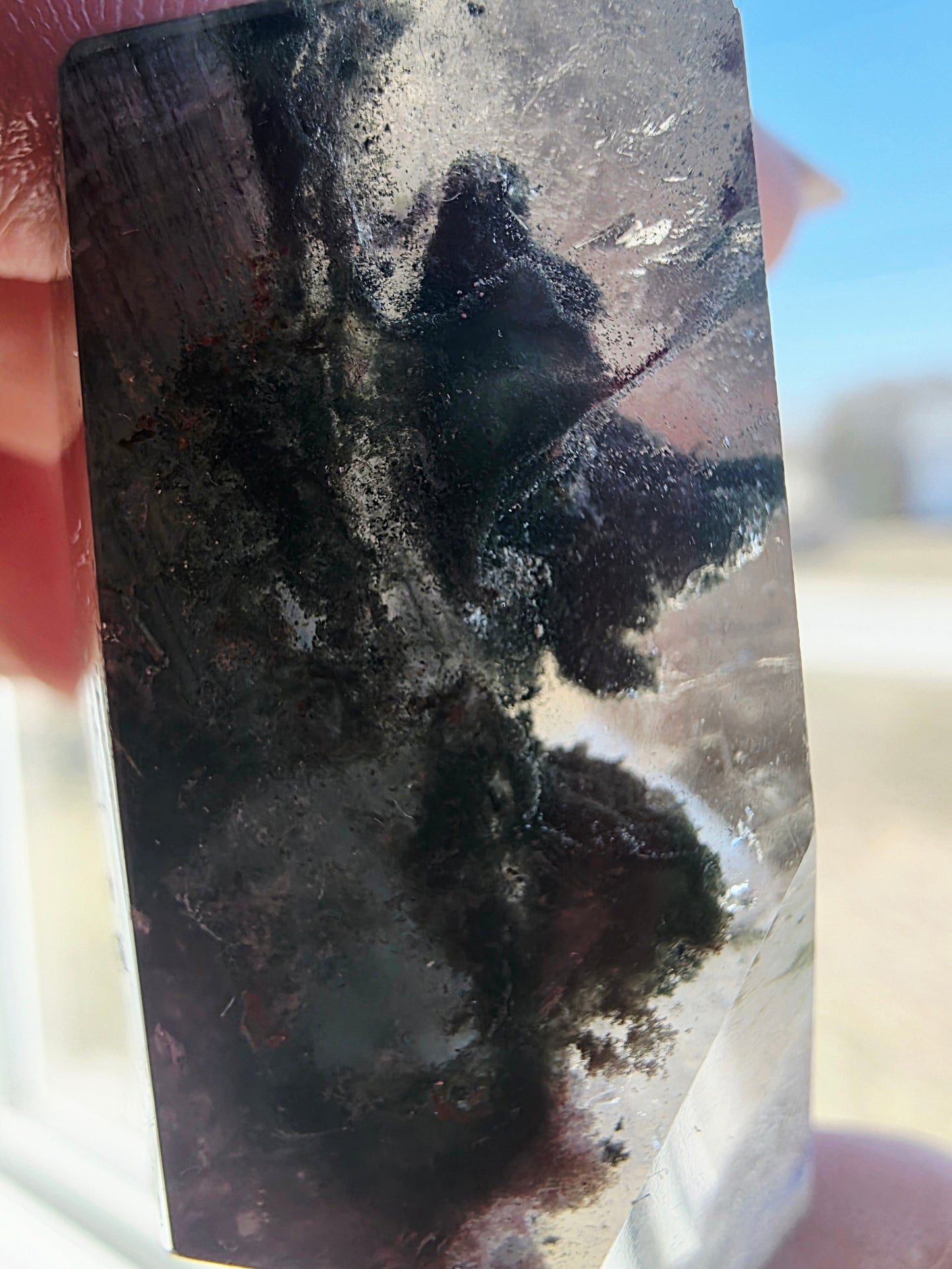 Garden Quartz Crystal Free-form Palm Size Clear
