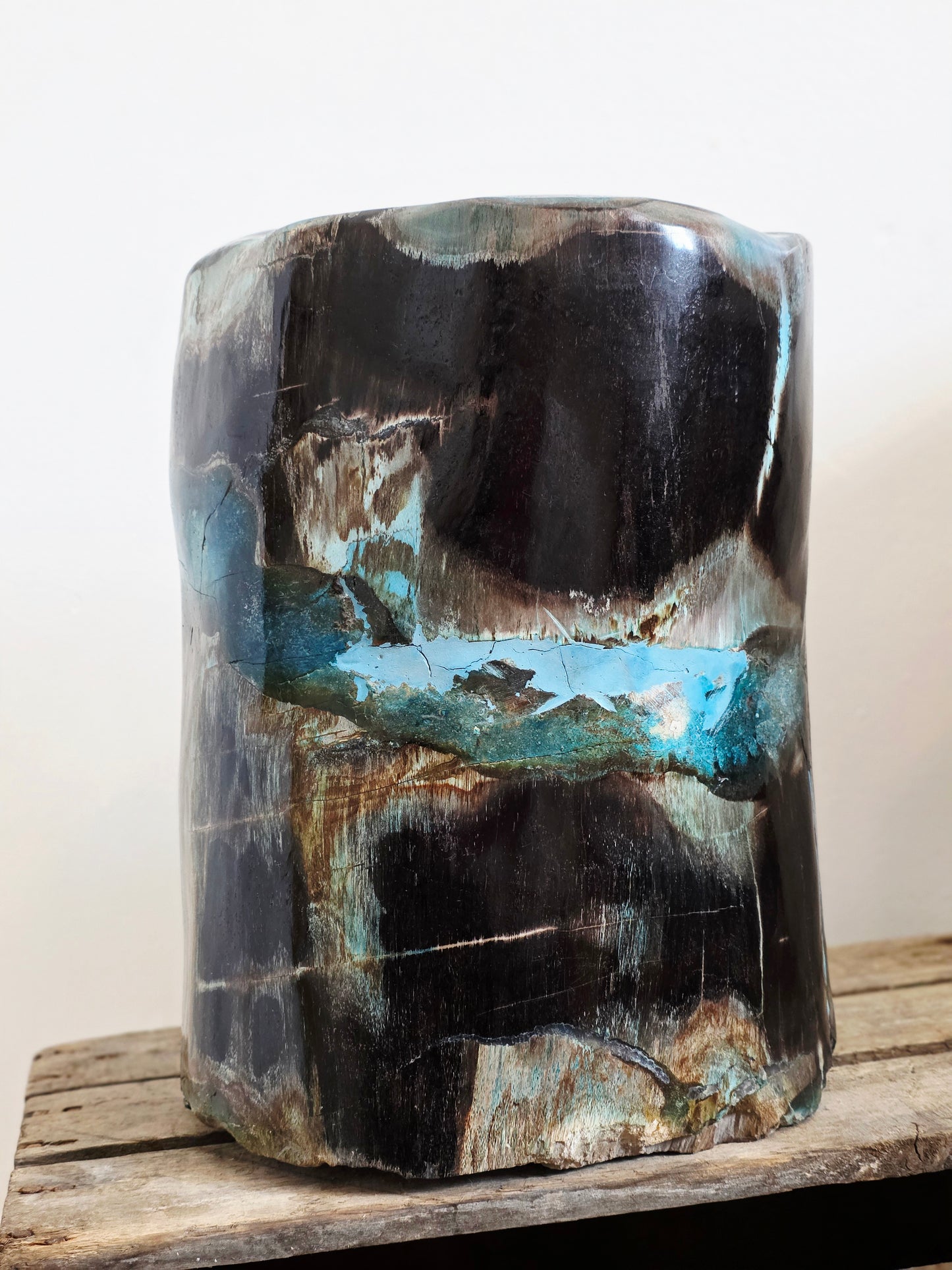 Rare Petrified Wood from Indonesia - Opalized Chrysocolla, 87 lbs Collectors Mineral