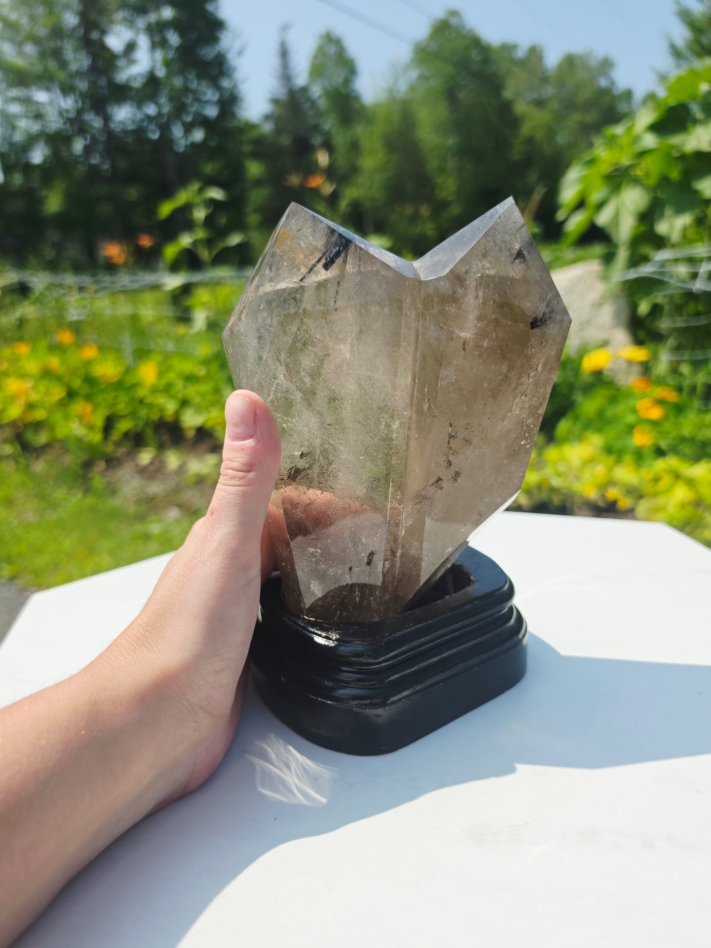 Double Points Quartz Crystal Black Tourmaline Rutile 2.20lbs Mineral