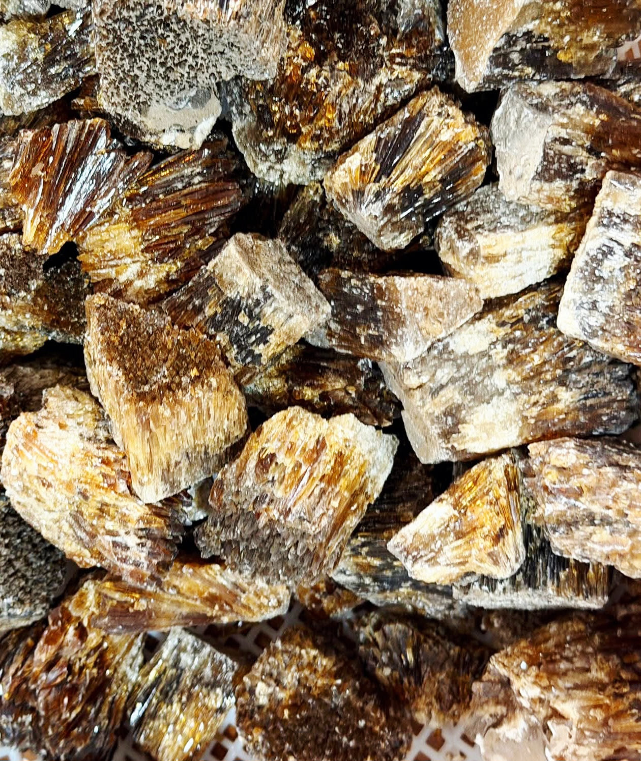 Amber Calcite 5 pieces Specimens - Palm Size