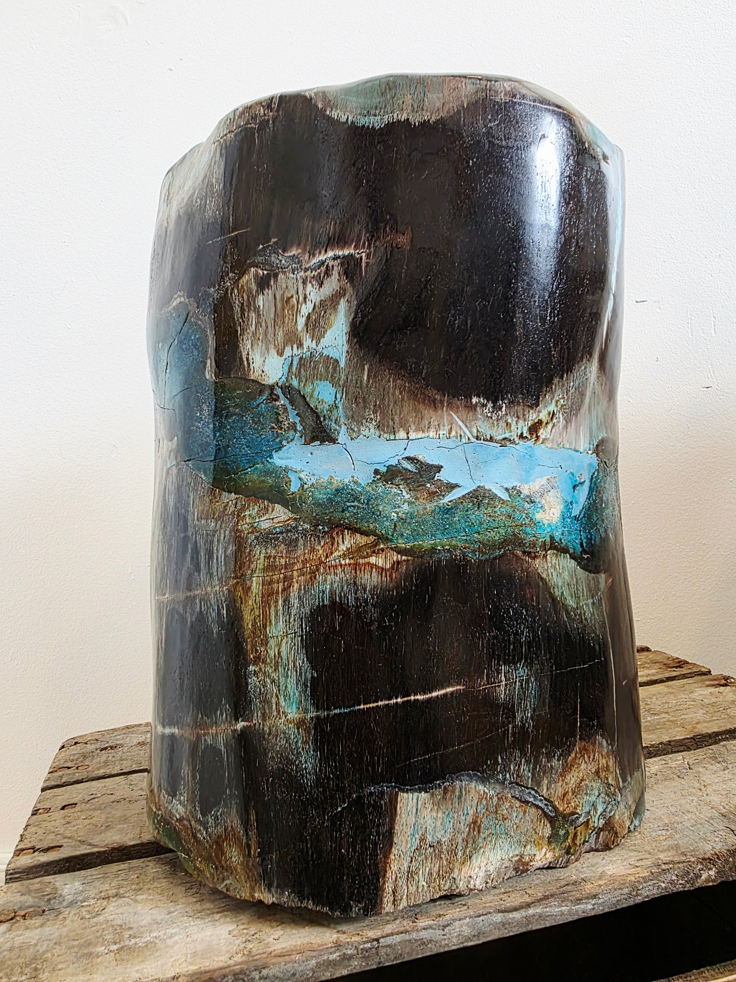 Rare Petrified Wood from Indonesia - Opalized Chrysocolla, 87 lbs Collectors Mineral