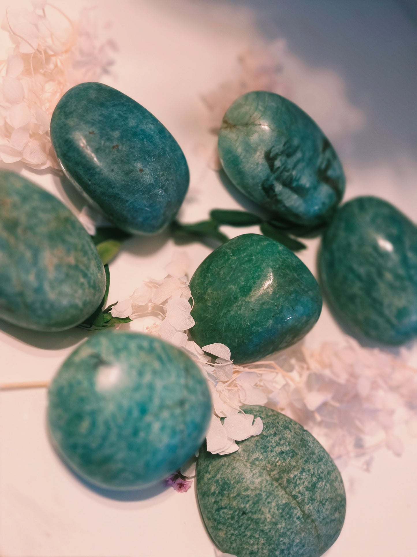 Amazonite Palmstone Lot of 7 Wholesale