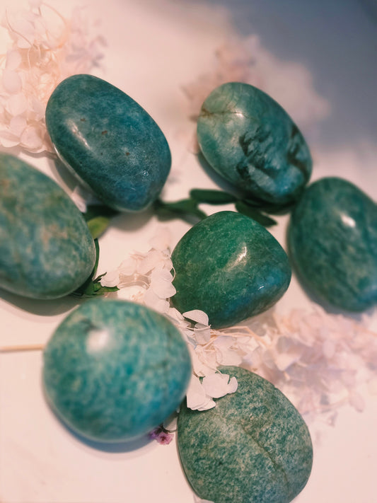 Amazonite Palmstone Lot of 7 Wholesale