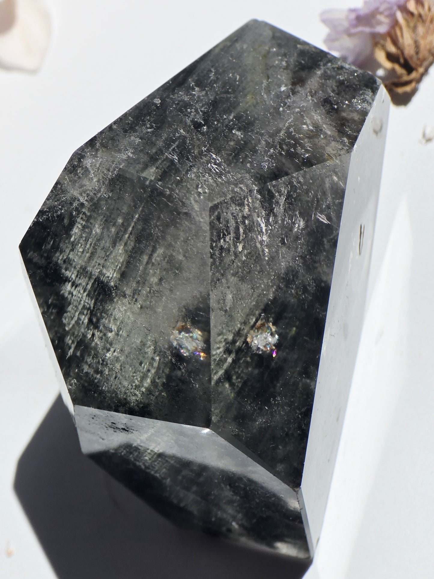 Garden Quartz Crystal Free-form Palm Size Clear