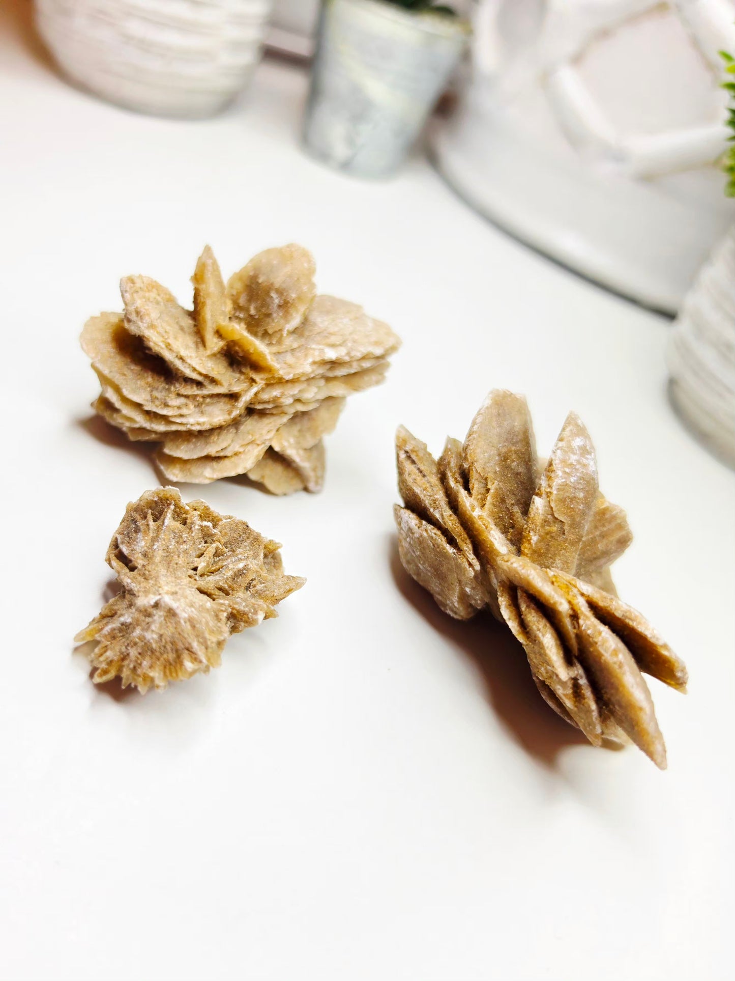 Raw Moroccan Desert Rose Crystal Cluster –  3 Naturals Gypsum Sand Rose Specimens