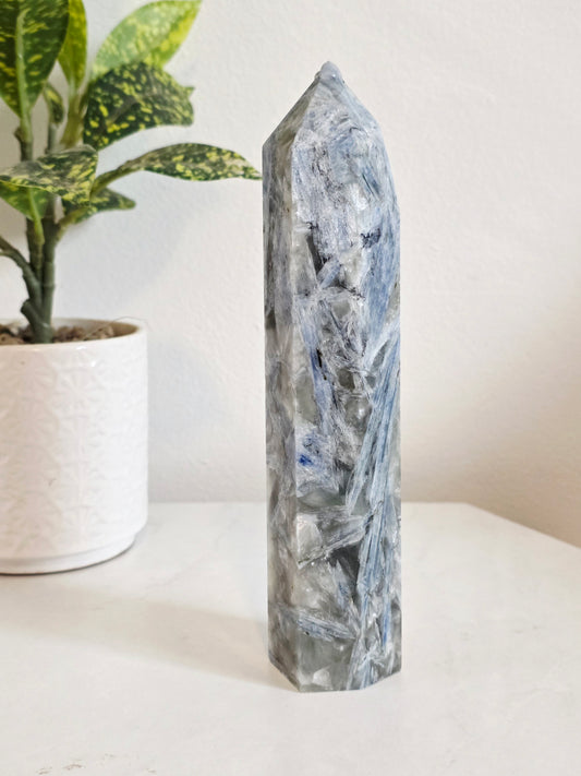 Kyanite High grade Tower Blue Druzy