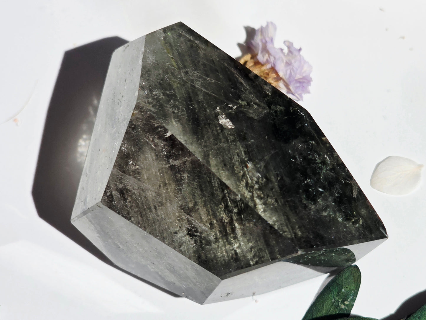 Garden Quartz Crystal Free-form Palm Size Clear