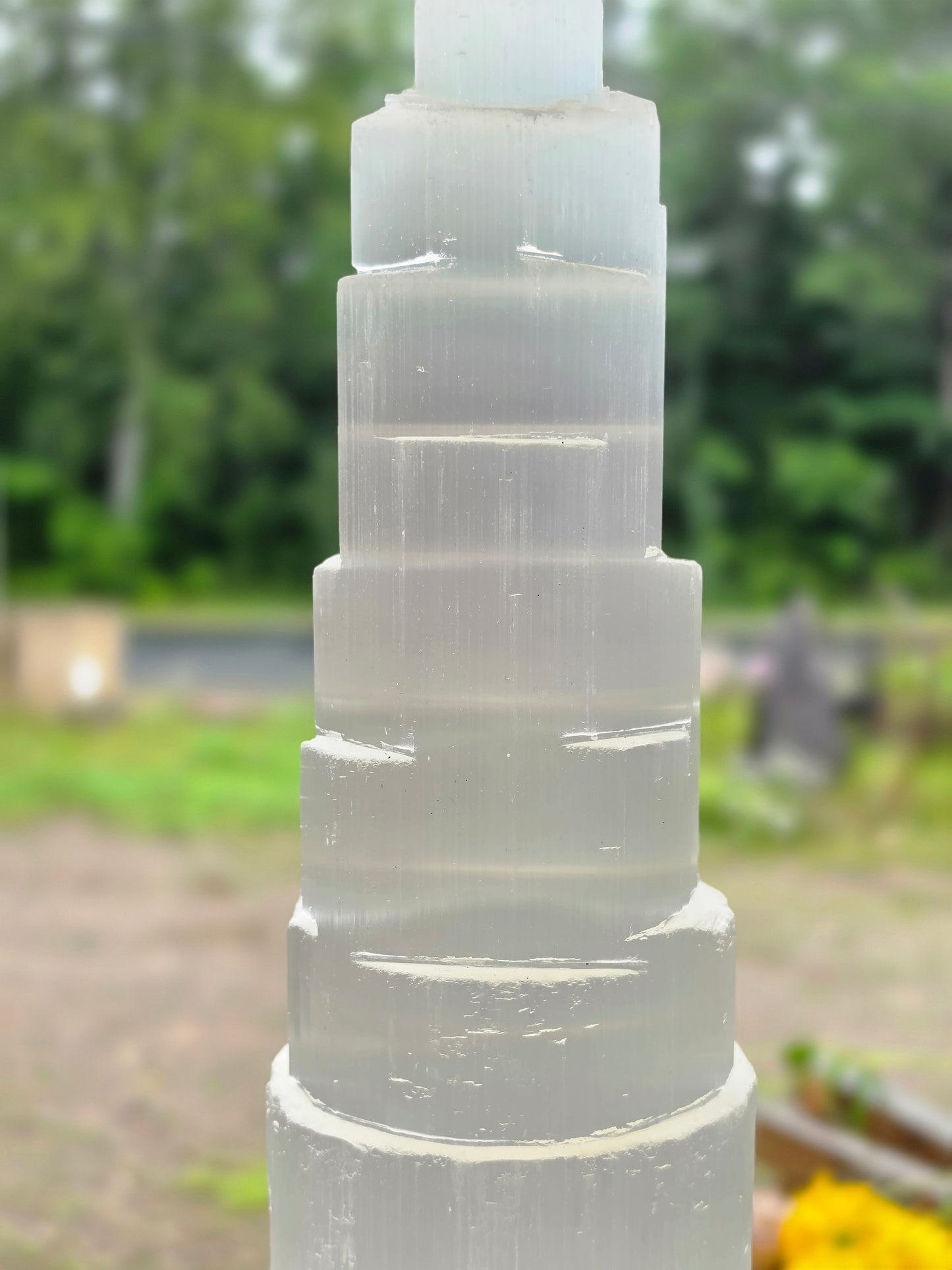3.5kg Selenite Tower 14" Wood Lamp included Natural Mineral Statement Piece