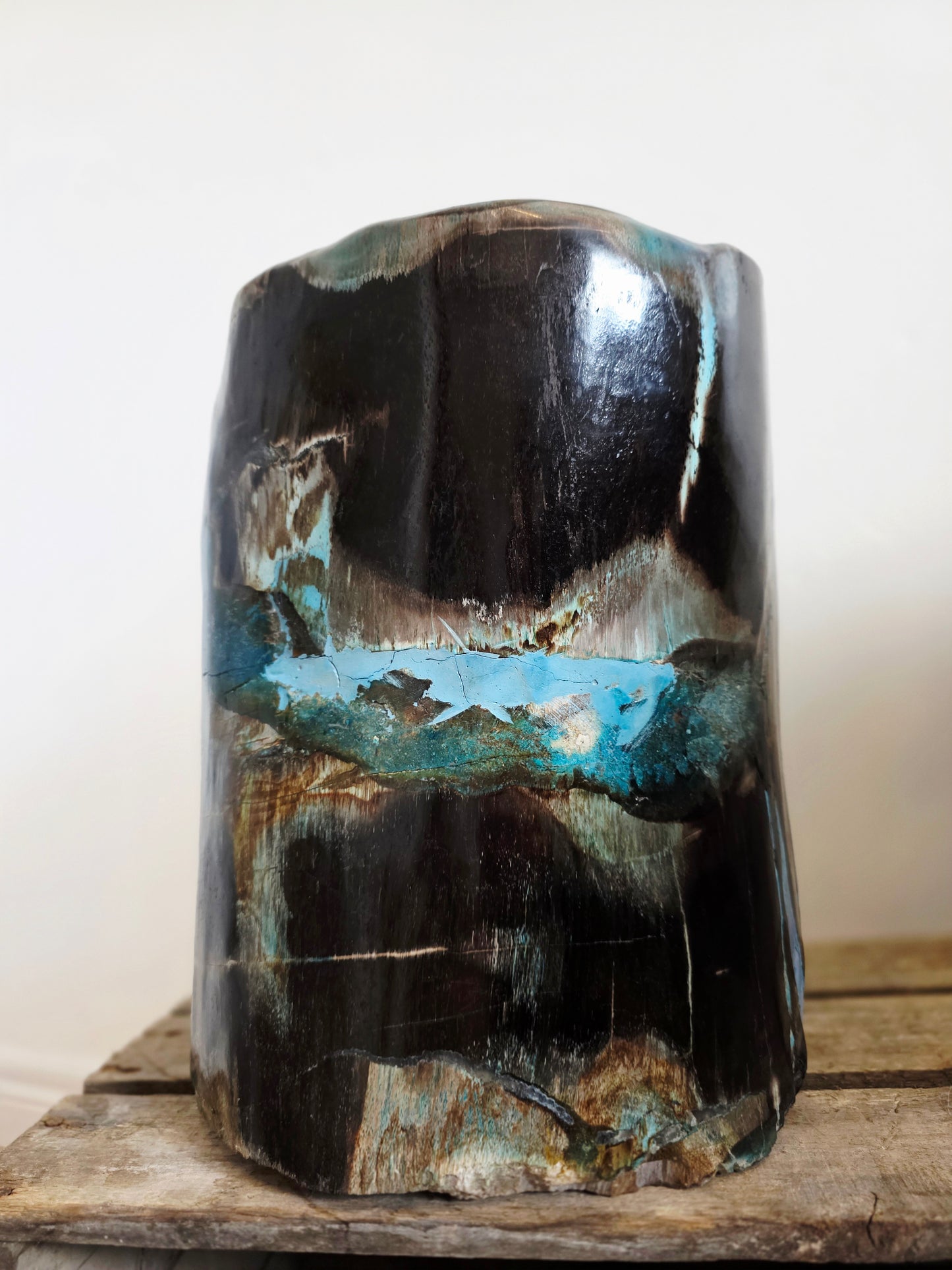Rare Petrified Wood from Indonesia - Opalized Chrysocolla, 87 lbs Collectors Mineral