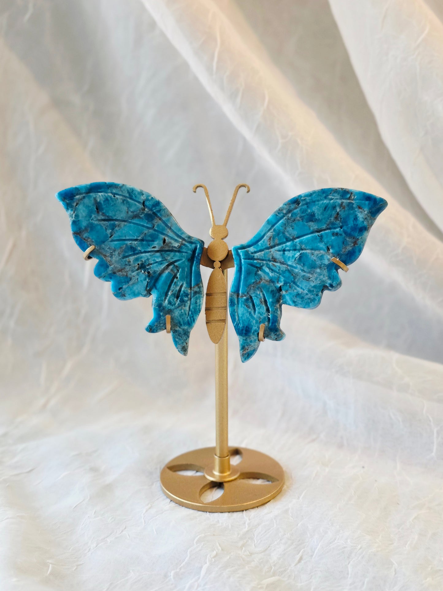 Blue Apatite Butterfly Wings Carving on Stand
