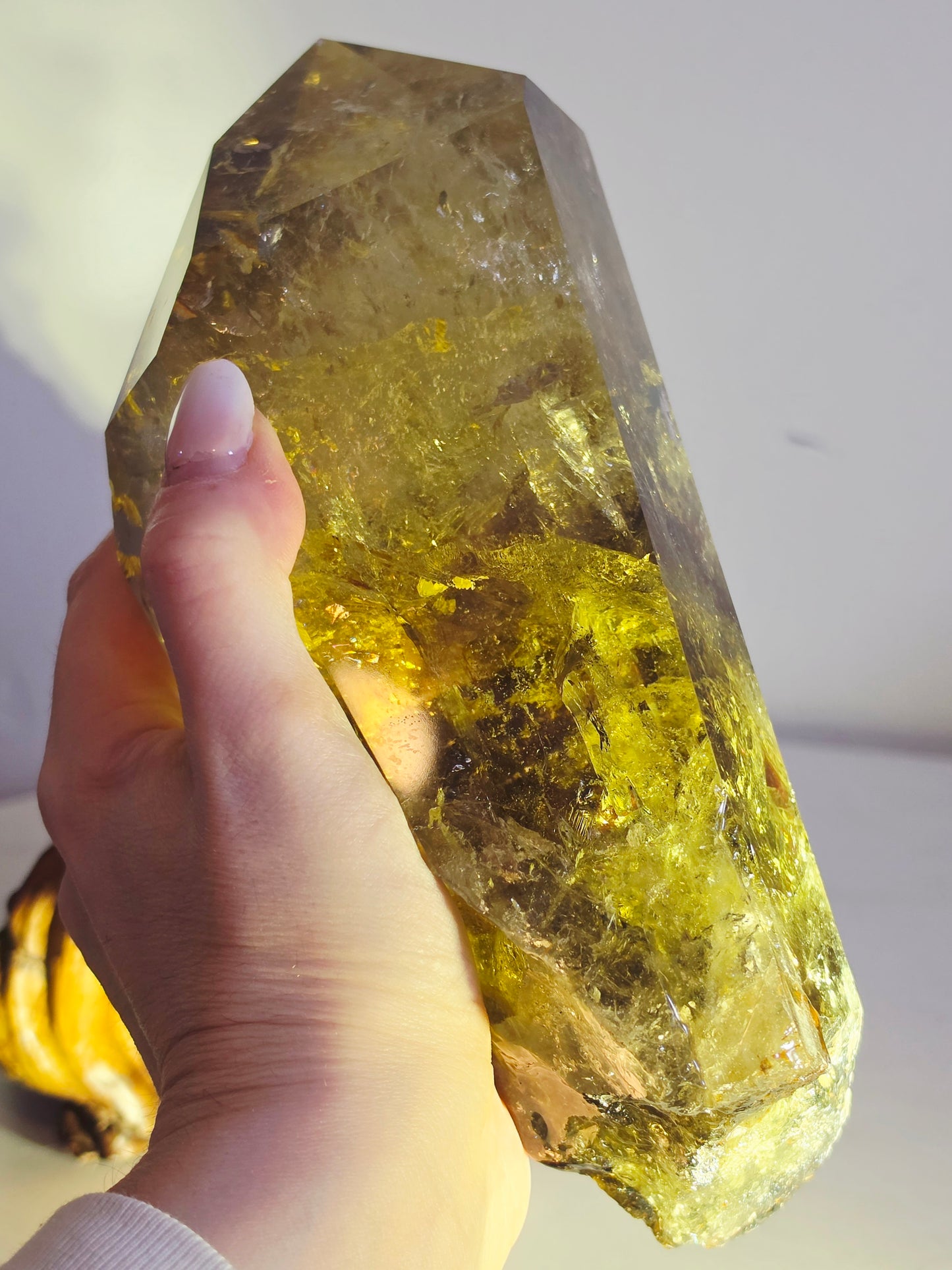 Citrine Crystal Quartz Raw Point with Wood Base 2kg
