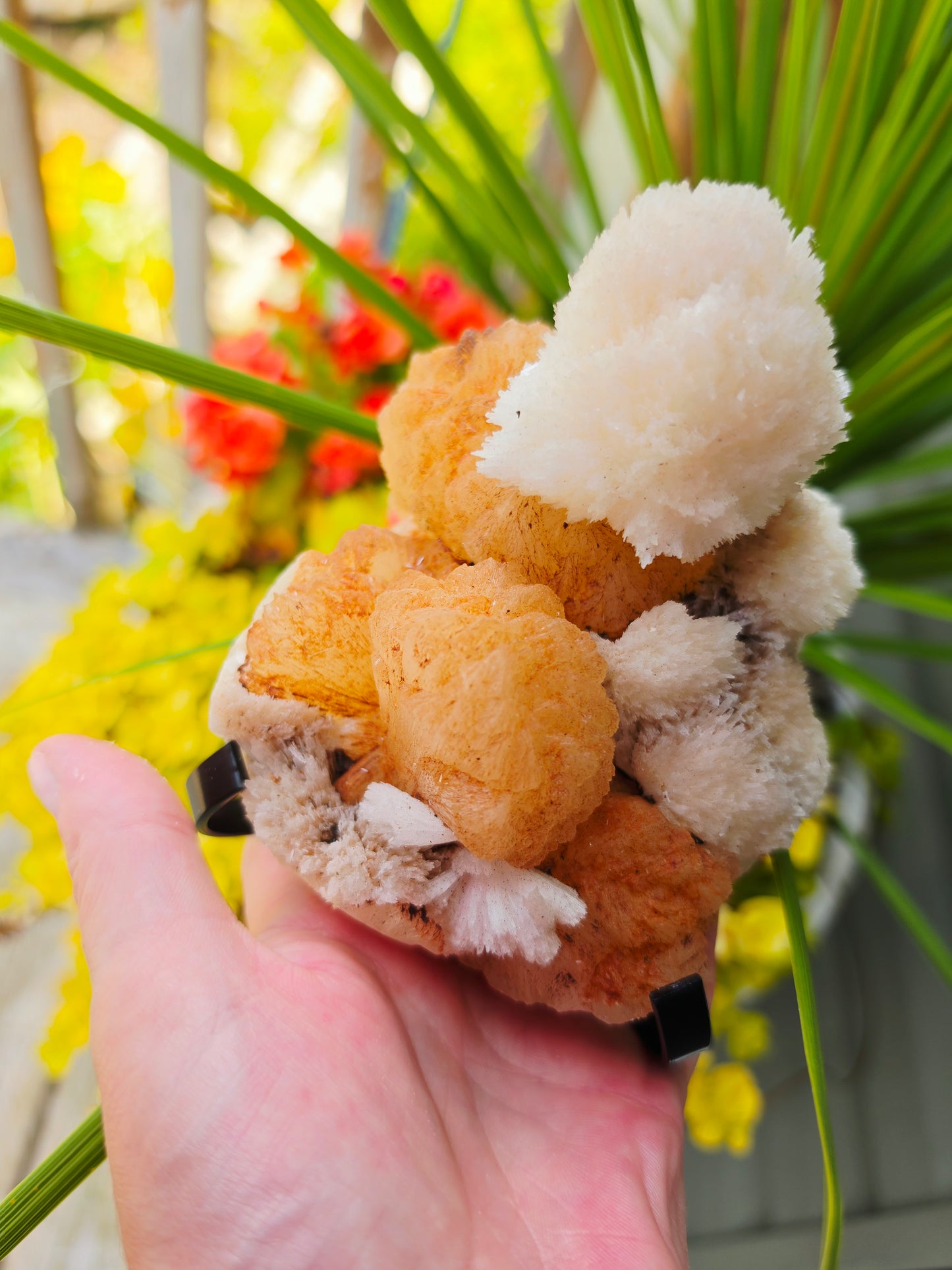2.14lb Scolecite / Mordenite on Stilbite Specimens with Stand From India