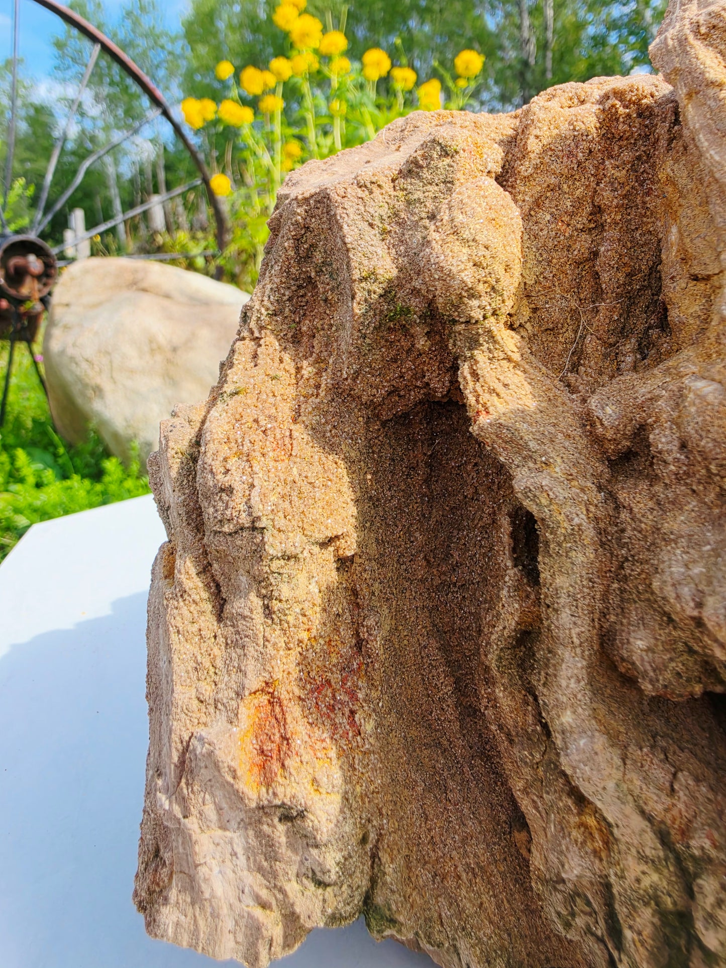 5.13kg Pre-Petrified Wood Druzy from India Collector Pieces