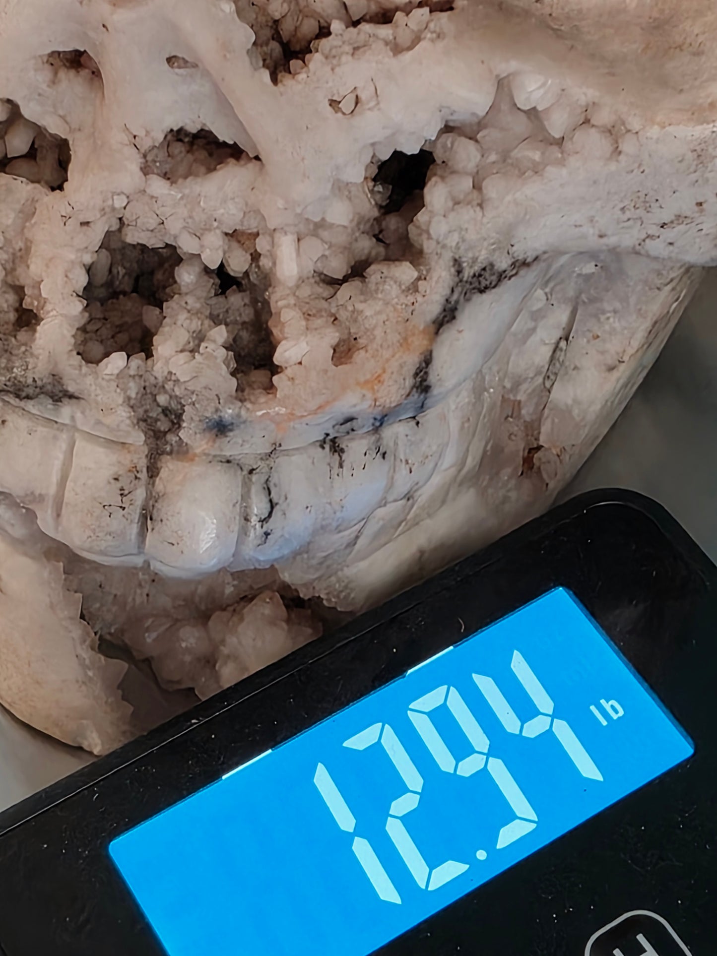 Pink Amethyst Skull Carving – 12.94 lbs Natural Crystal Statement Piece