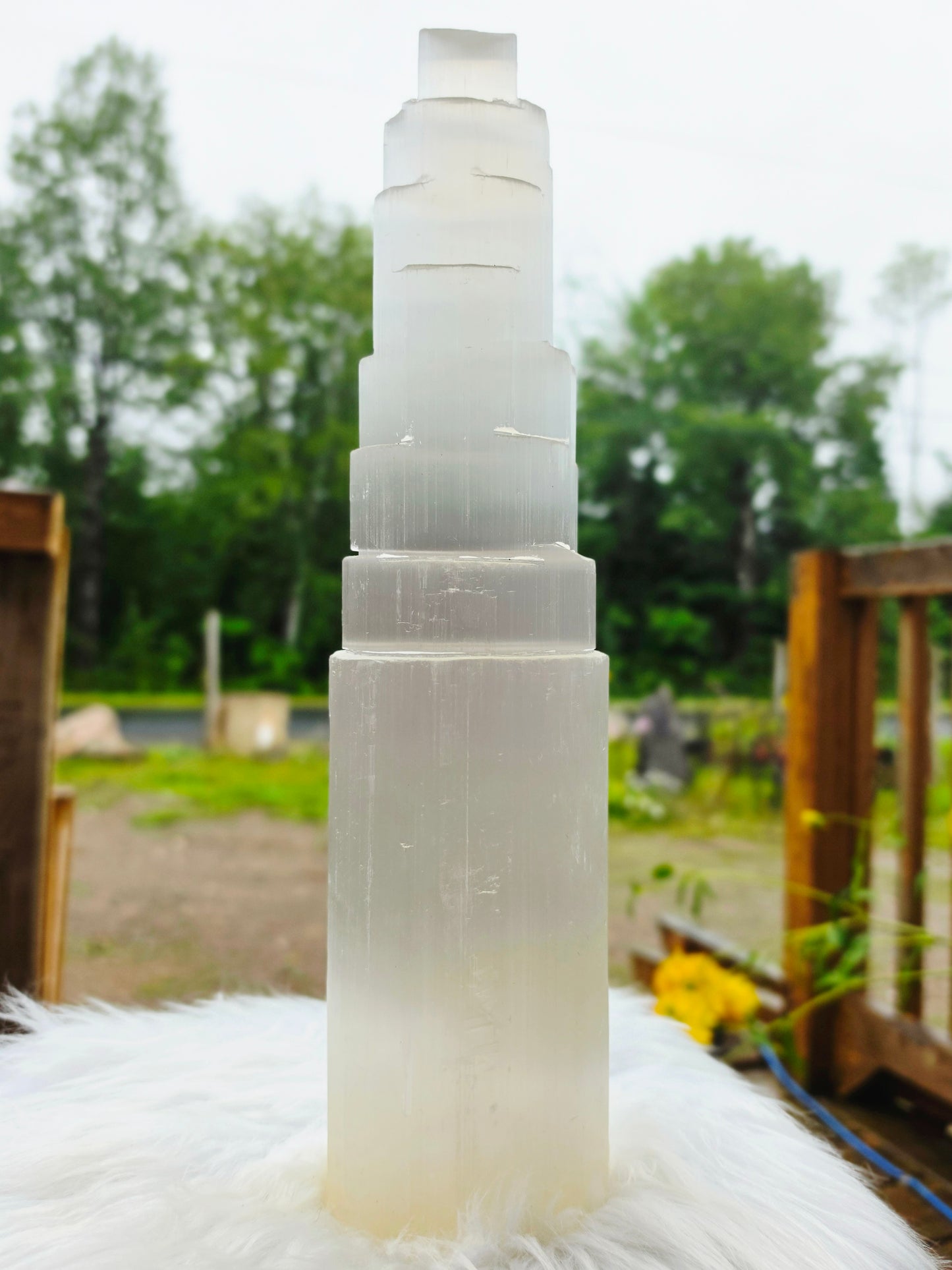 3.5kg Selenite Tower 14" Wood Lamp included Natural Mineral Statement Piece
