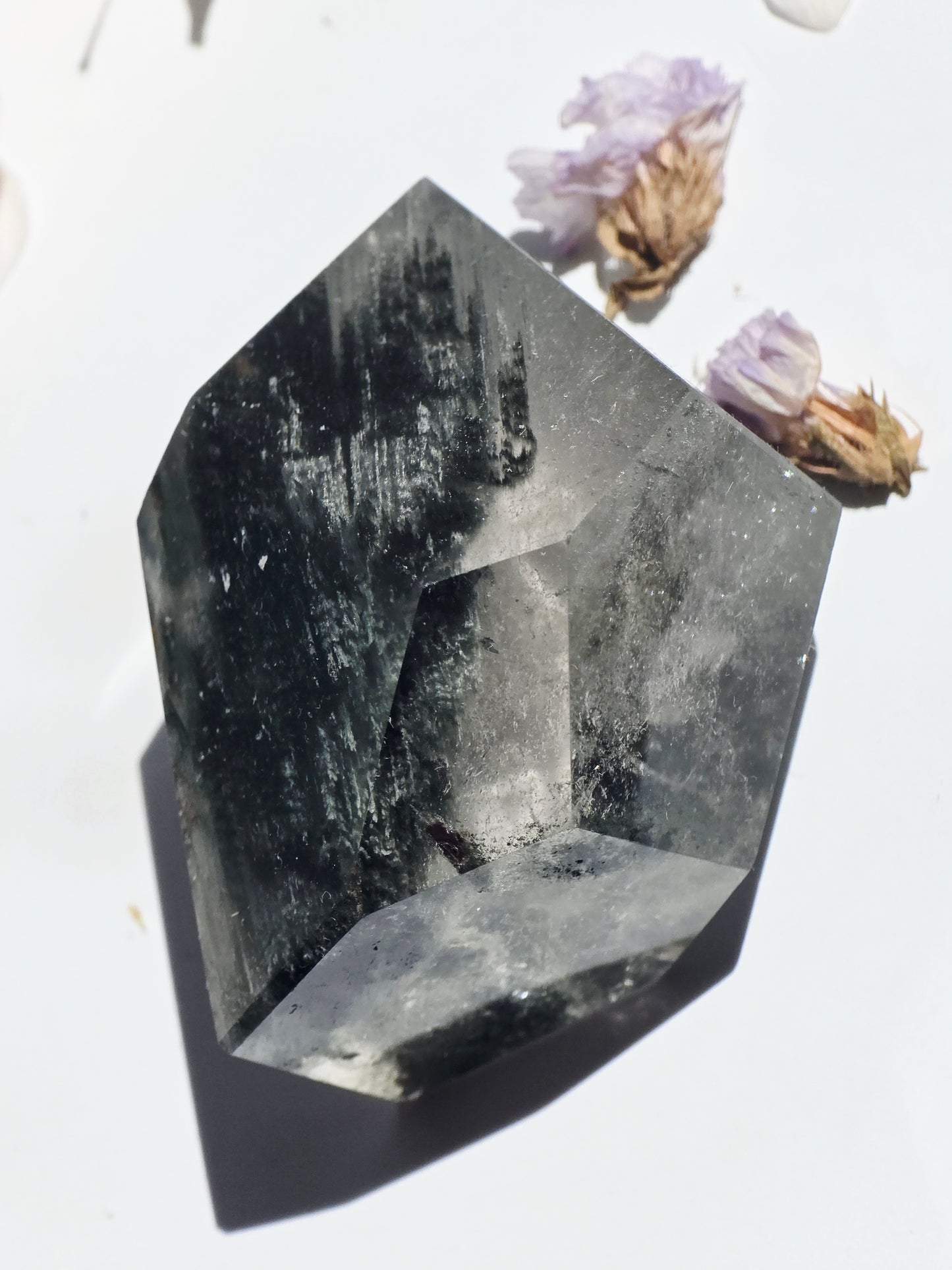 Garden Quartz Crystal Free-form Palm Size Clear